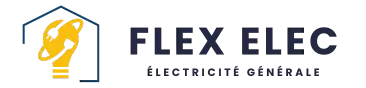 logo flex elec électricite generale fond transparent